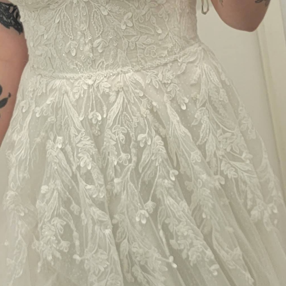 Elegant Lace Wedding Dress with Veil - Picture 3 of 7